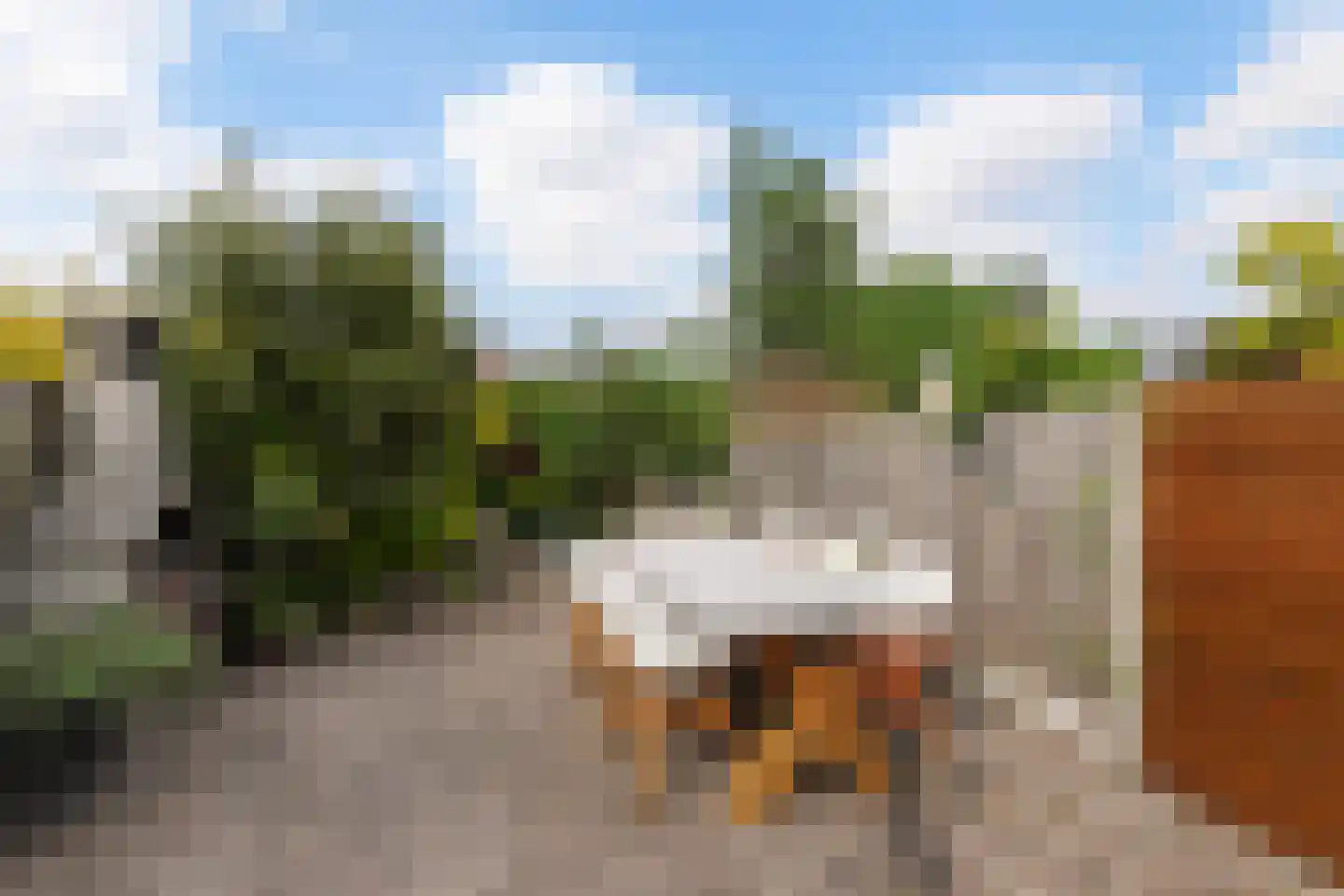 Bredaseweg 133 Tilburg thumbnail 42