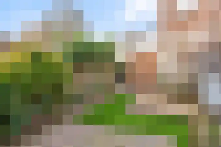 Bredaseweg 140 Tilburg thumbnail 27