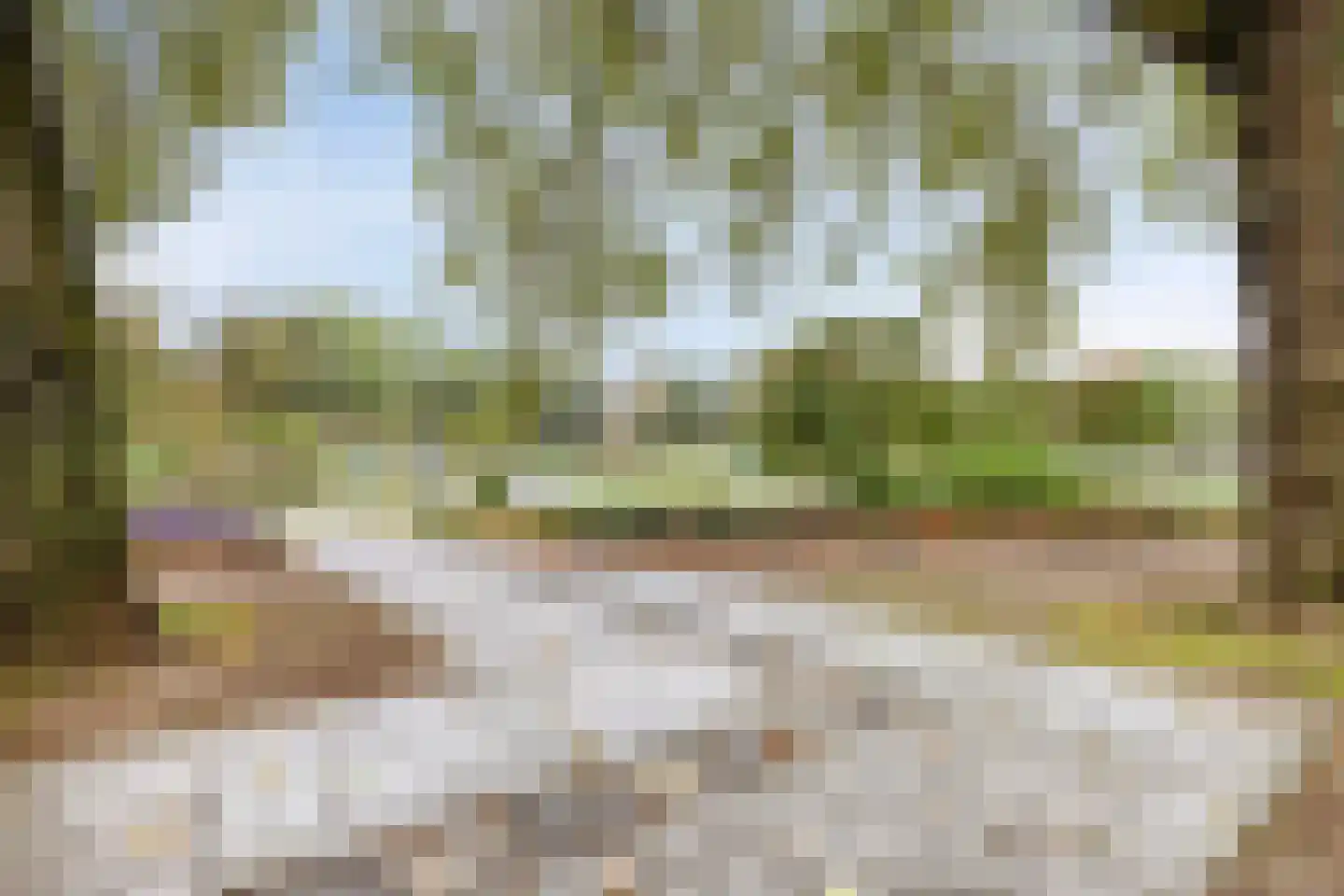 Bredaseweg 219 a Tilburg thumbnail 41