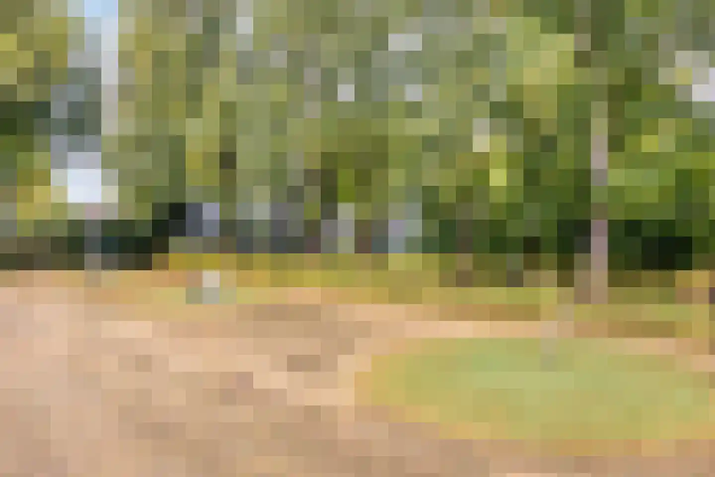 Bredaseweg 219 a Tilburg thumbnail 44