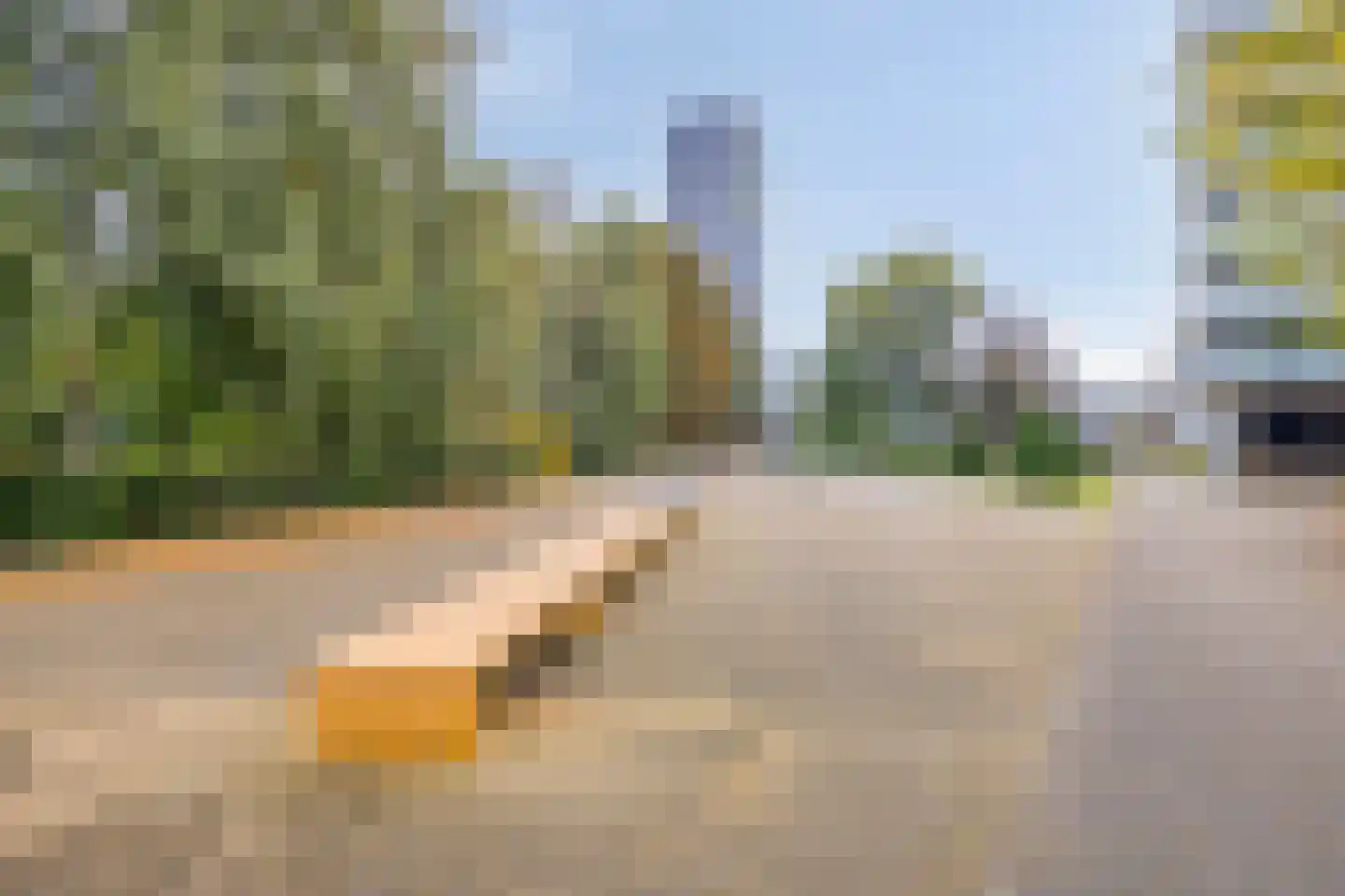 Bredaseweg 219 a Tilburg thumbnail 46