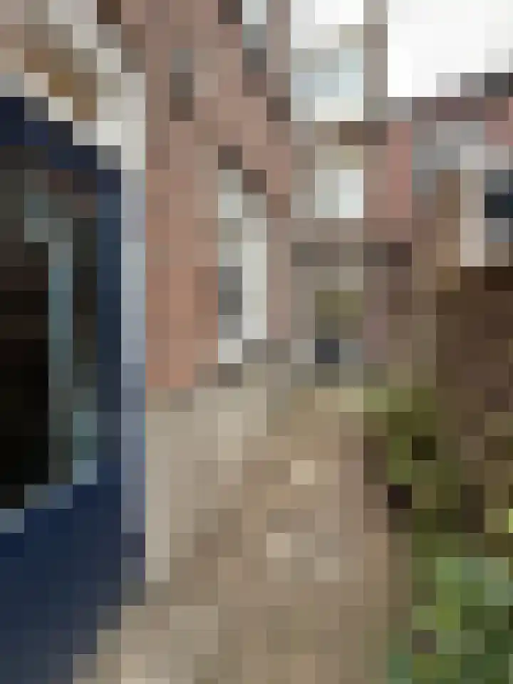 Bredaseweg 223 Tilburg thumbnail 38