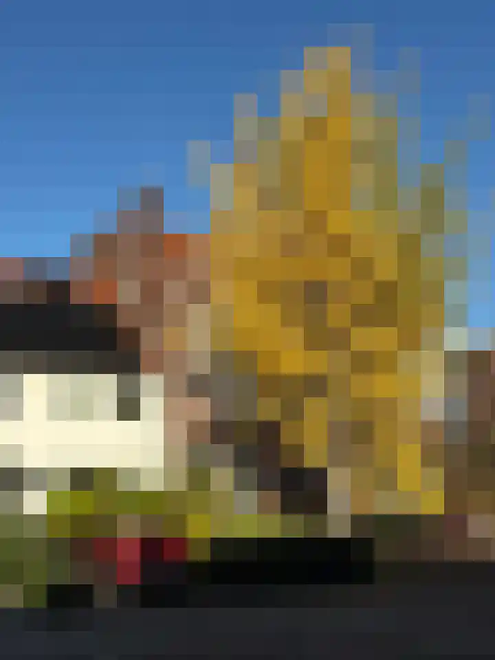 Bredaseweg 223 Tilburg thumbnail 44