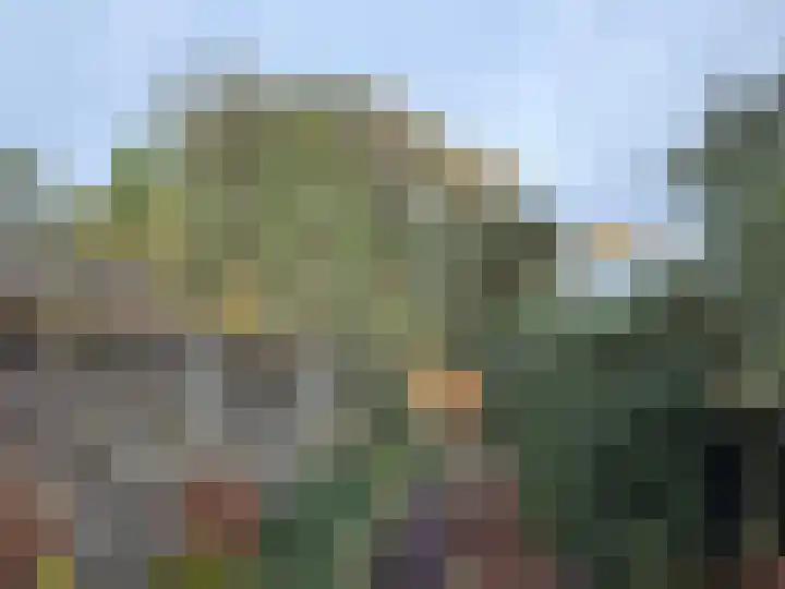 Bredaseweg 223 Tilburg thumbnail 5