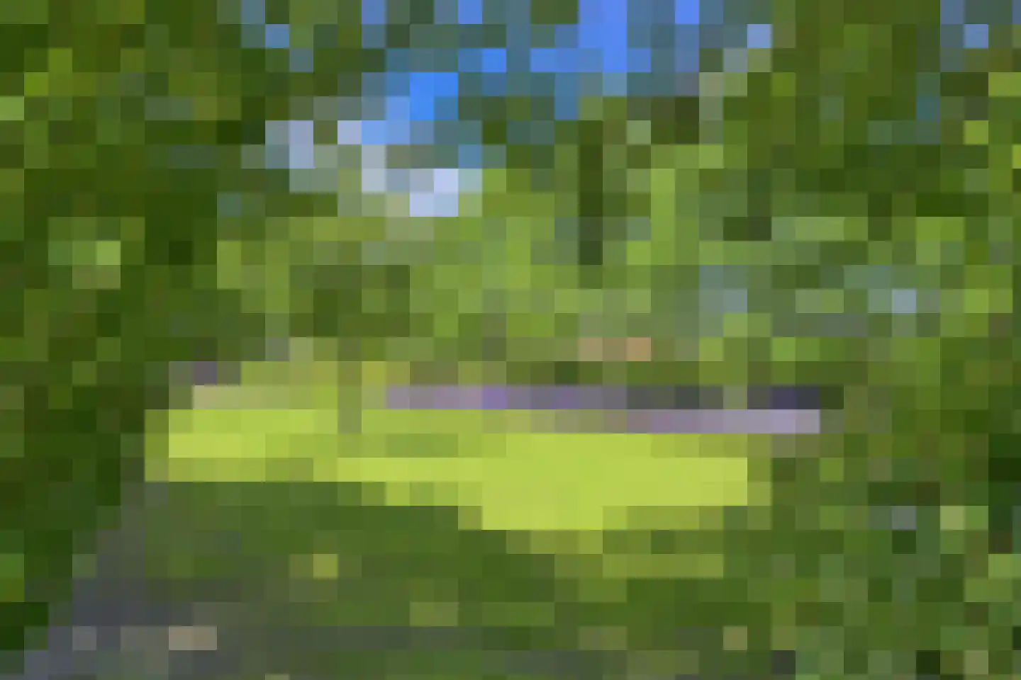 Bredaseweg 24 Zundert thumbnail 28