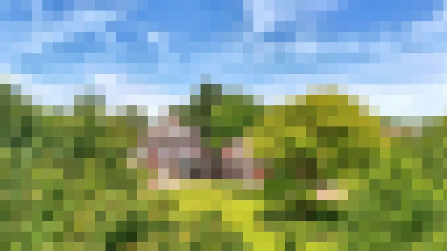 Bredaseweg 24 Zundert thumbnail 29