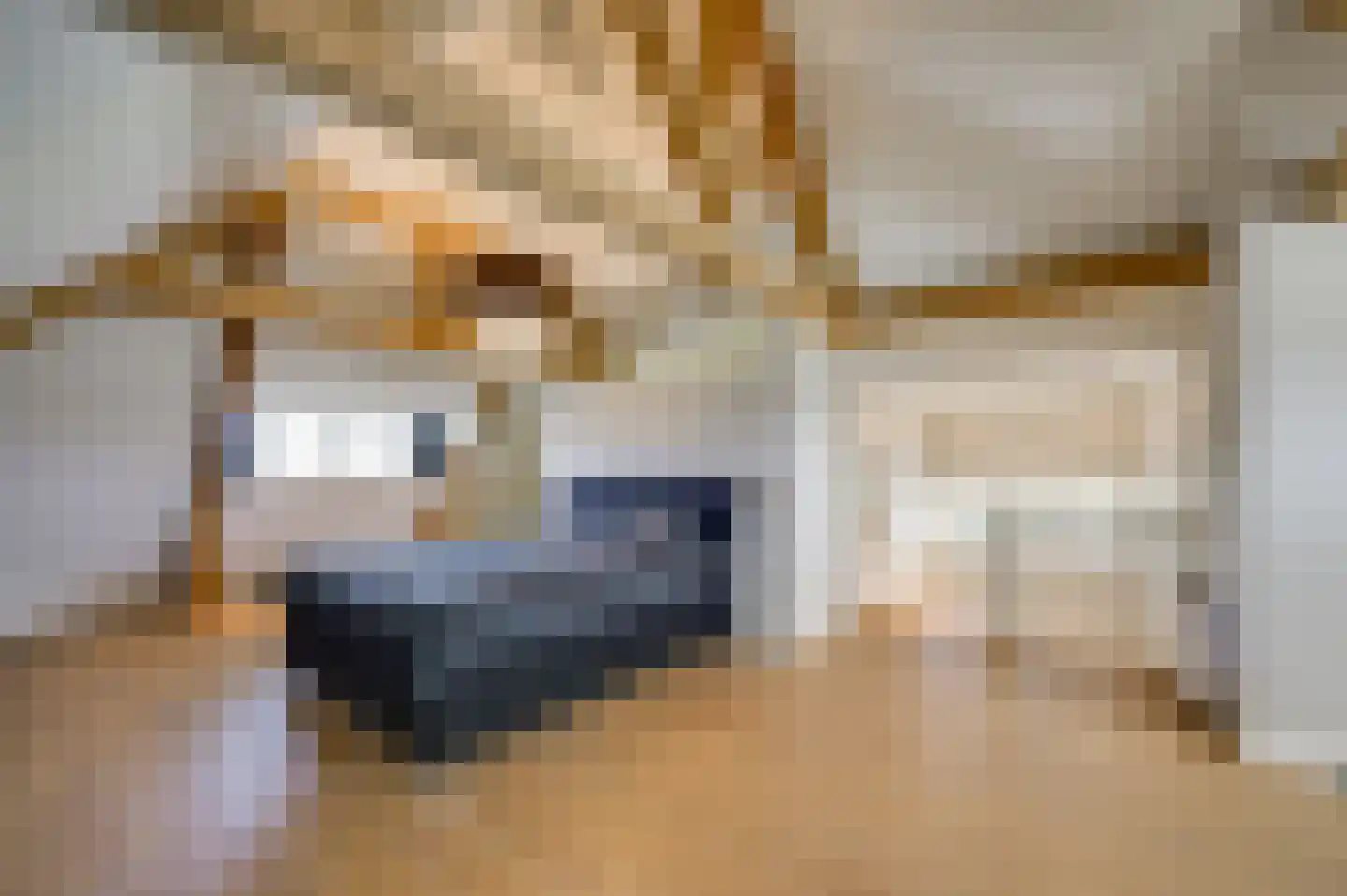 Bredaseweg 24 Zundert thumbnail 49