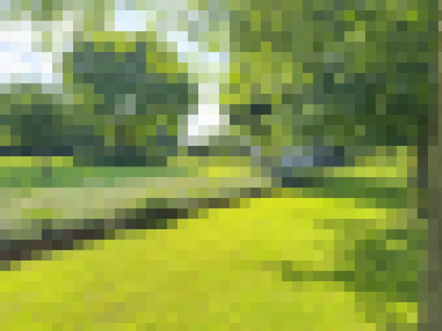 Bredaseweg 24 Zundert thumbnail 59