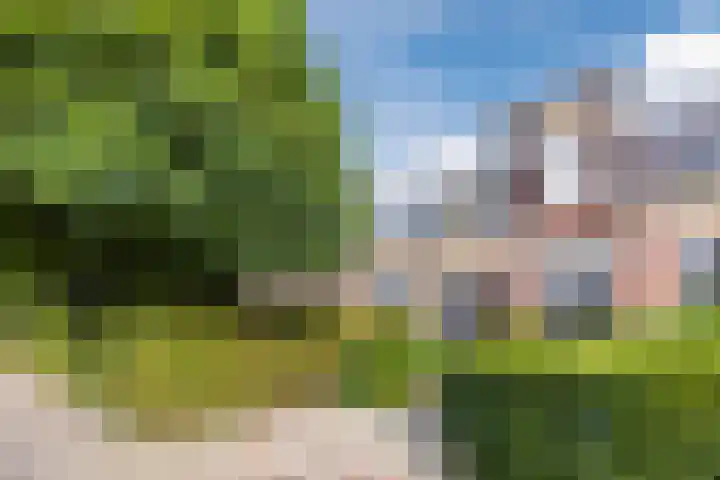 Bredaseweg 241 Tilburg thumbnail 42