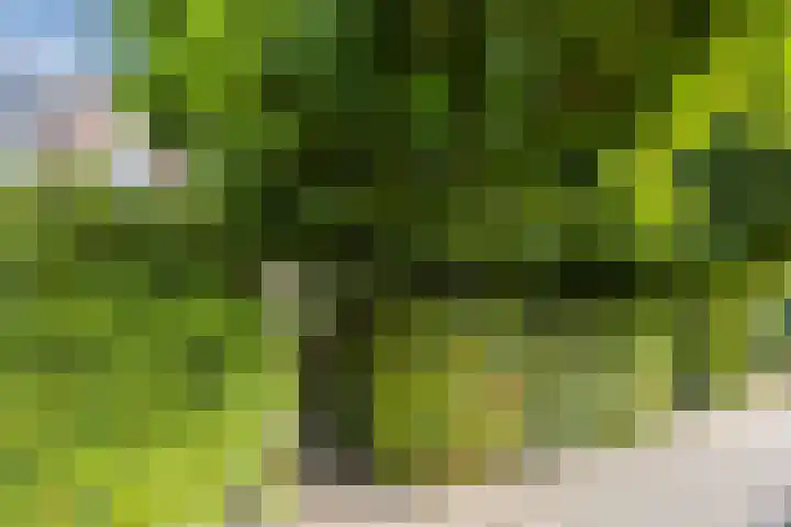 Bredaseweg 241 Tilburg thumbnail 43