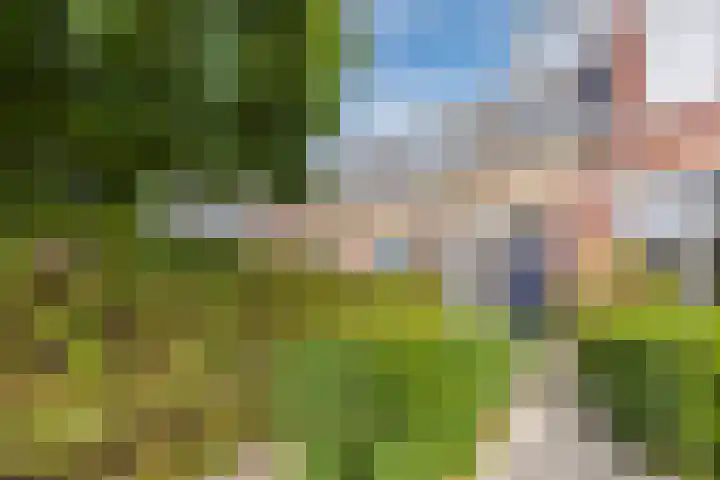 Bredaseweg 241 Tilburg thumbnail 44