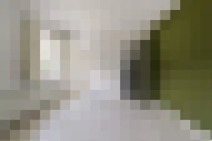 Bredaseweg 248 Tilburg thumbnail 41
