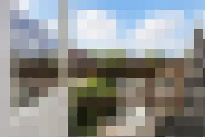 Bredaseweg 248 Tilburg thumbnail 6