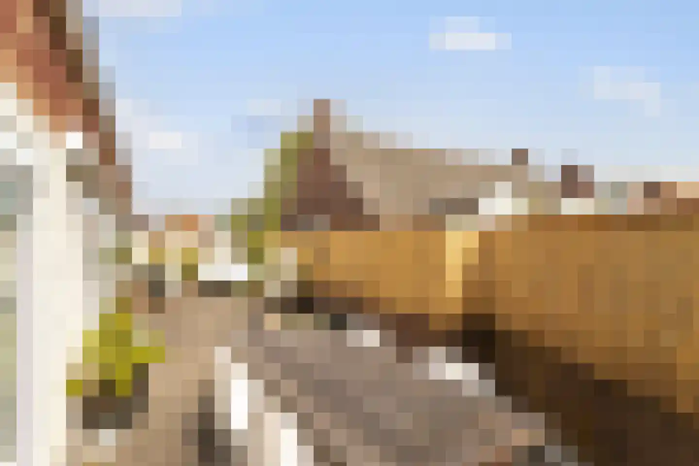 Bredaseweg 27 Oosterhout thumbnail 34