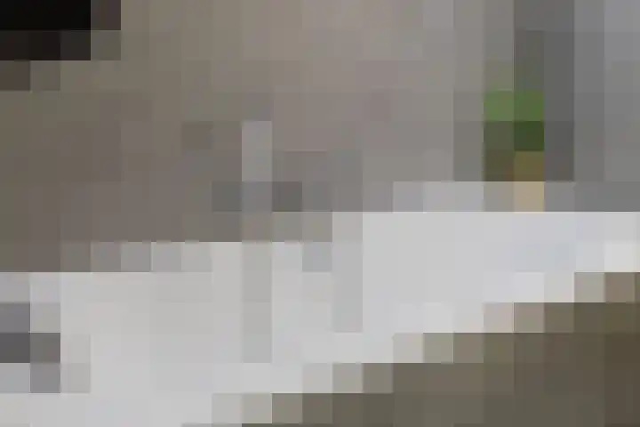 Bredaseweg 27 Rijsbergen thumbnail 24