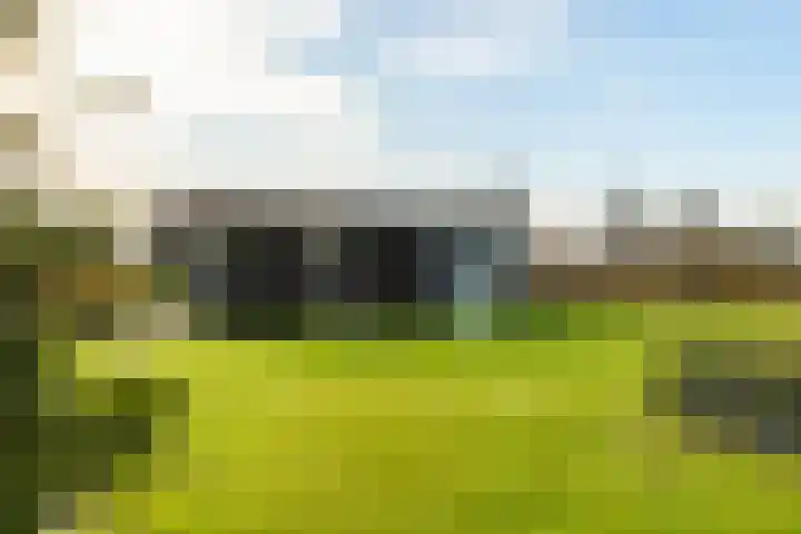 Bredaseweg 27 Rijsbergen thumbnail 39