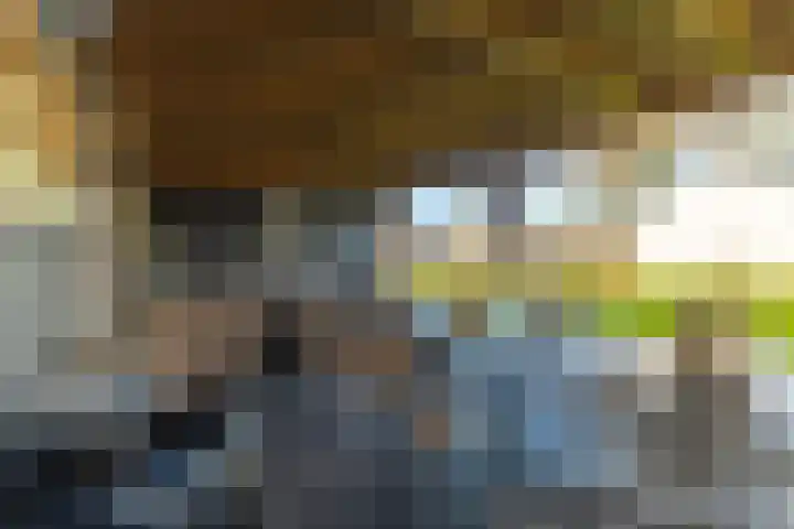 Bredaseweg 27 Rijsbergen thumbnail 40