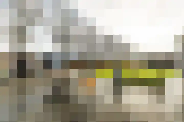 Bredaseweg 27 Rijsbergen thumbnail 42