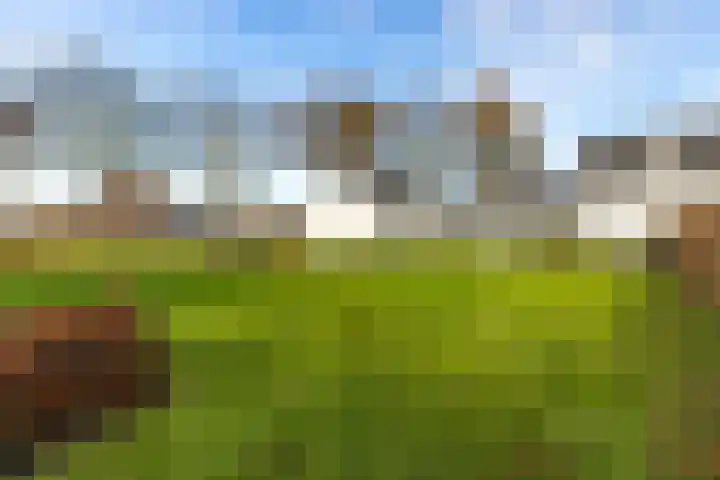 Bredaseweg 27 Rijsbergen thumbnail 43