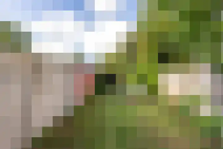 Bredaseweg 273 Tilburg thumbnail 29