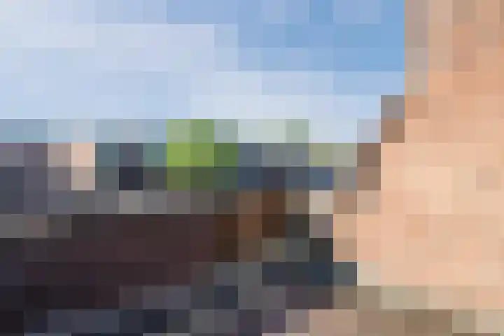 Bredaseweg 30 Oosterhout thumbnail 22