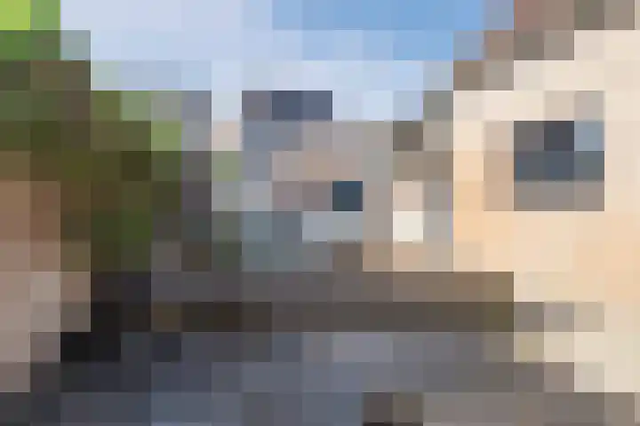 Bredaseweg 30 Oosterhout thumbnail 7