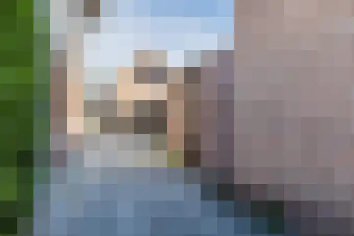 Bredaseweg 30 Oosterhout thumbnail 9