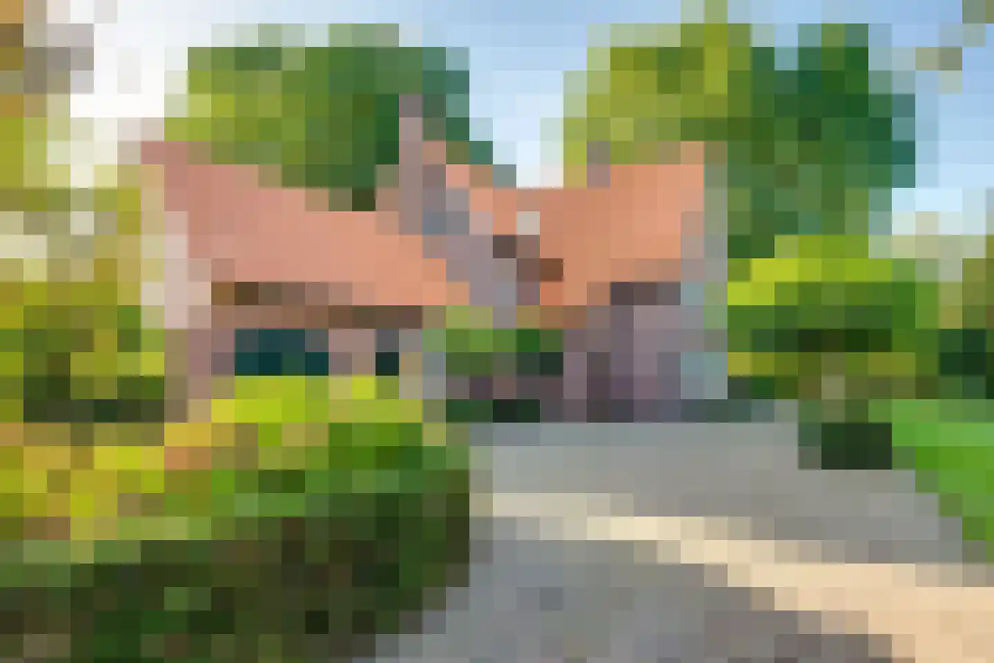 Bredaseweg 32 Zundert thumbnail 13
