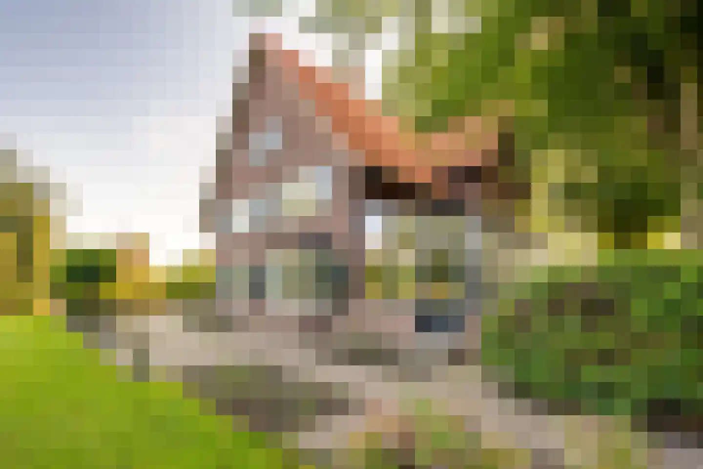 Bredaseweg 32 Zundert thumbnail 15