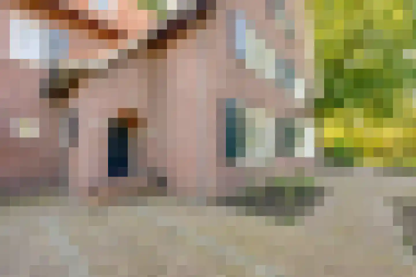 Bredaseweg 32 Zundert thumbnail 18