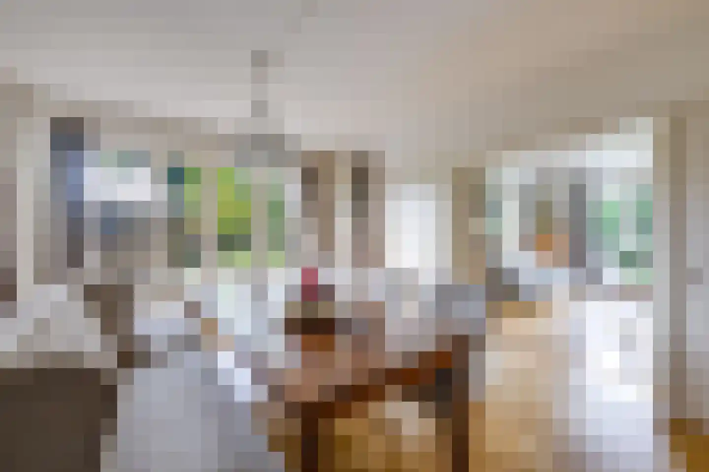 Bredaseweg 32 Zundert thumbnail 29