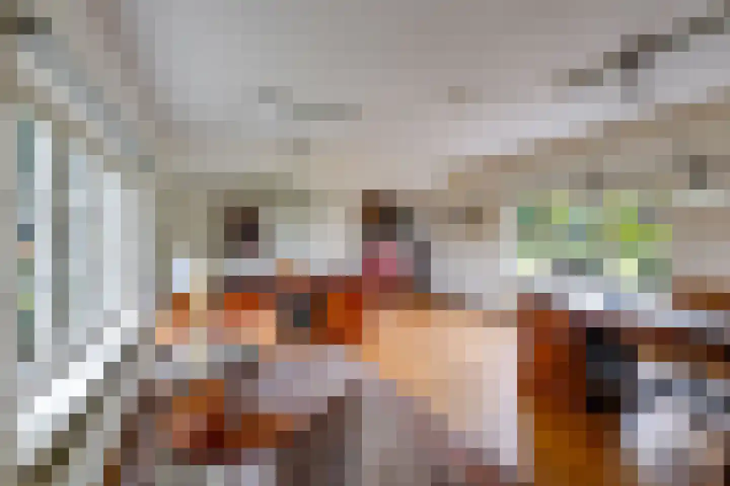 Bredaseweg 32 Zundert thumbnail 44