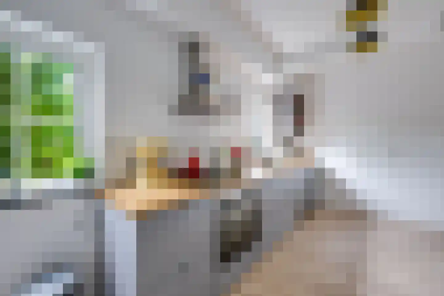 Bredaseweg 32 Zundert thumbnail 48