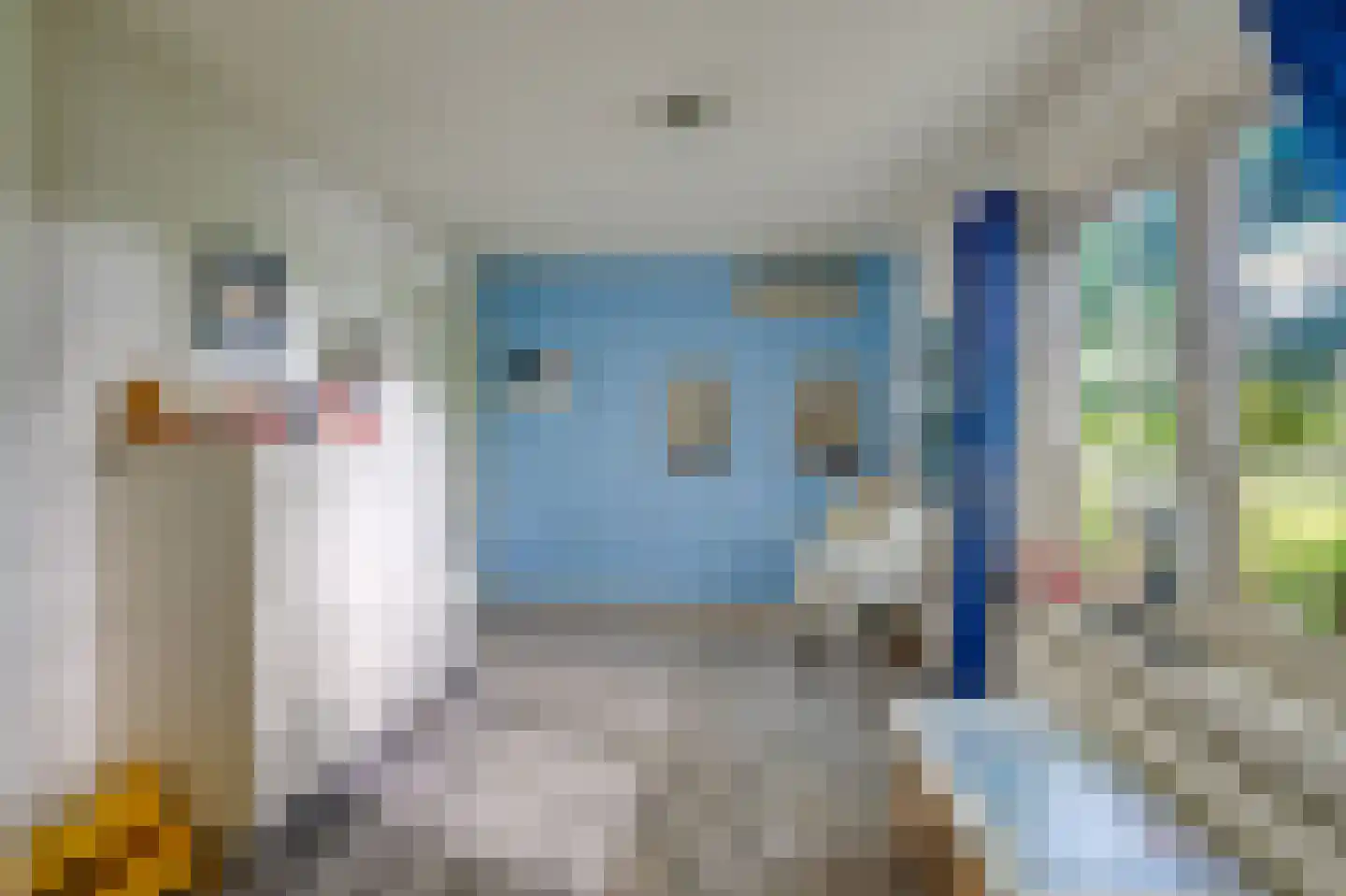 Bredaseweg 32 Zundert thumbnail 66
