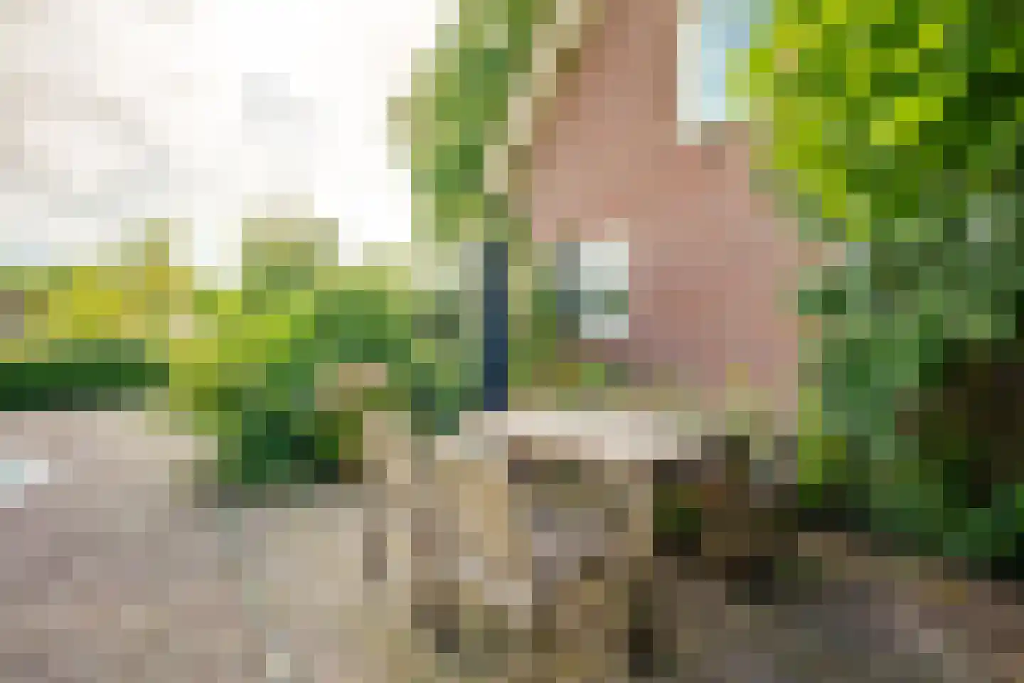 Bredaseweg 32 Zundert thumbnail 82
