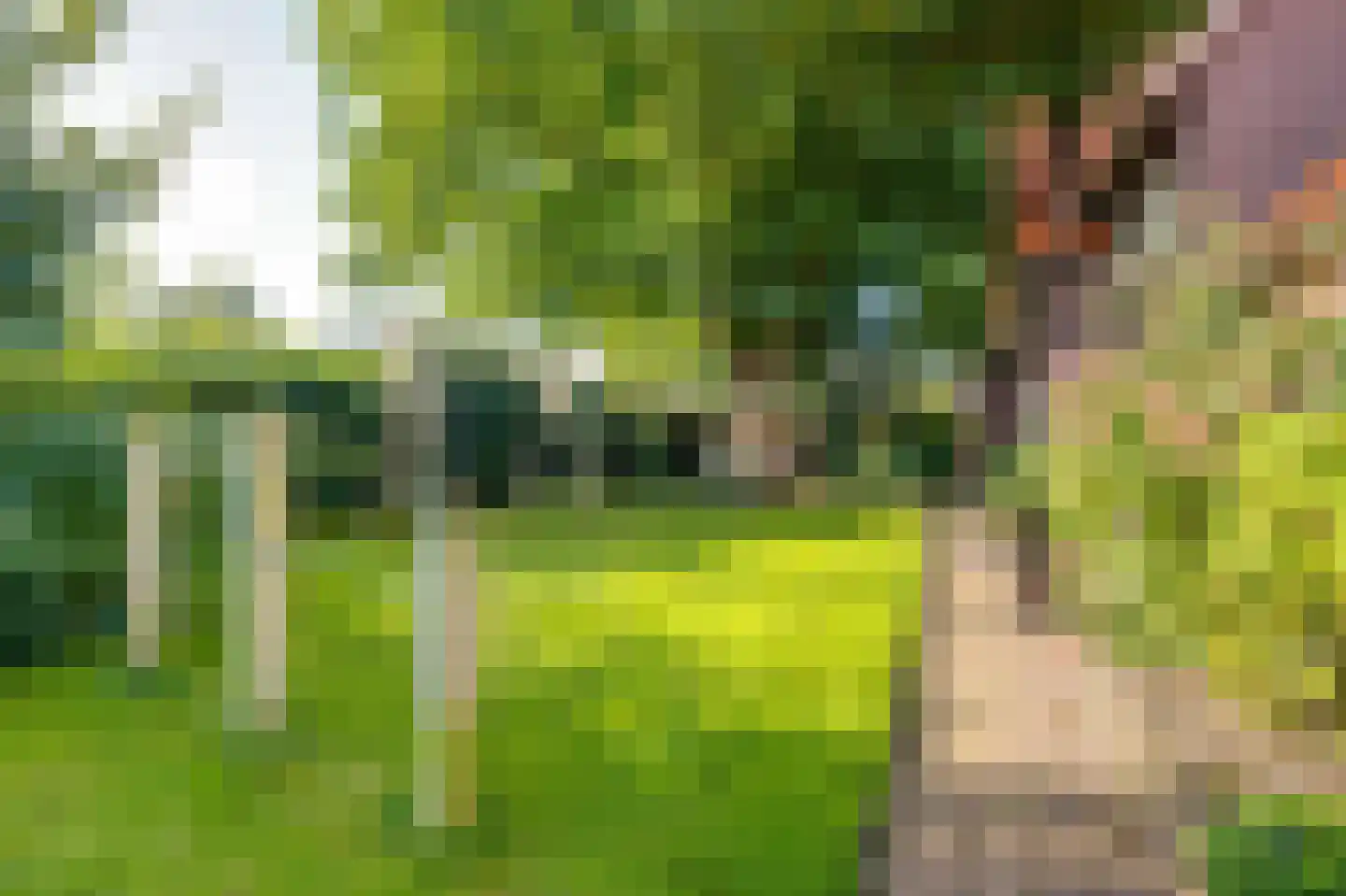 Bredaseweg 32 Zundert thumbnail 83