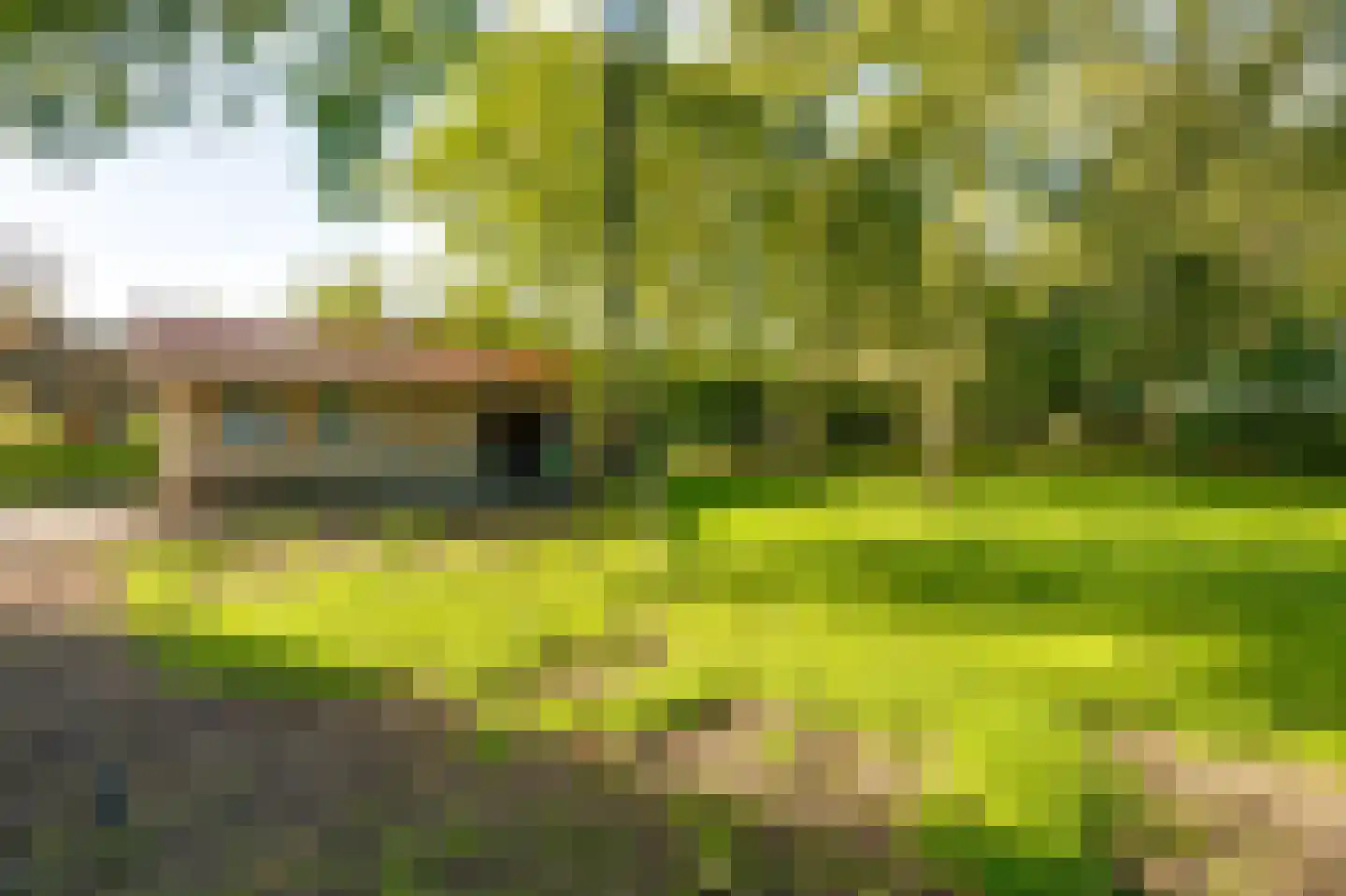 Bredaseweg 32 Zundert thumbnail 85