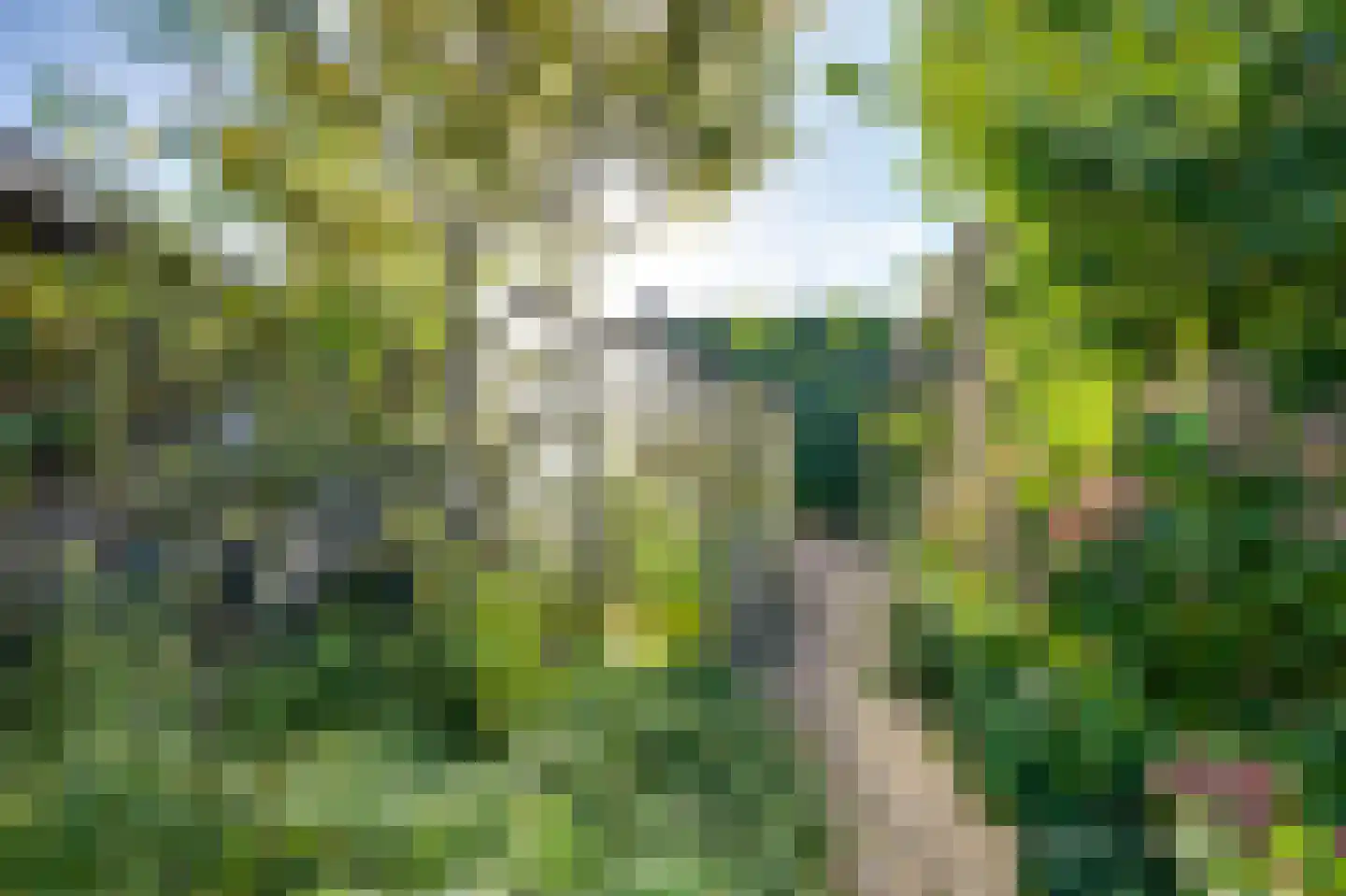 Bredaseweg 32 Zundert thumbnail 86