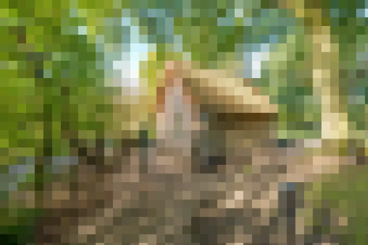 Bredaseweg 32 Zundert thumbnail 87