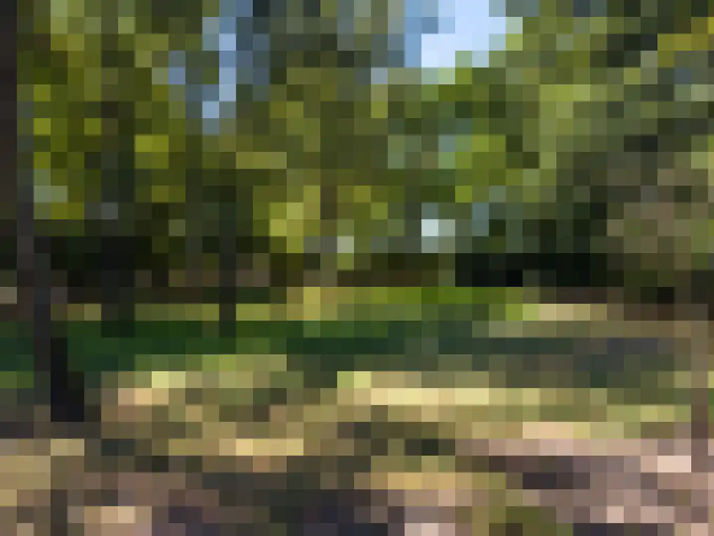 Bredaseweg 32 Zundert thumbnail 88