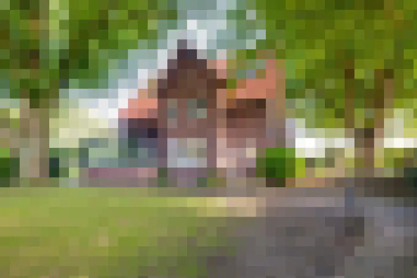 Bredaseweg 32 Zundert thumbnail 91
