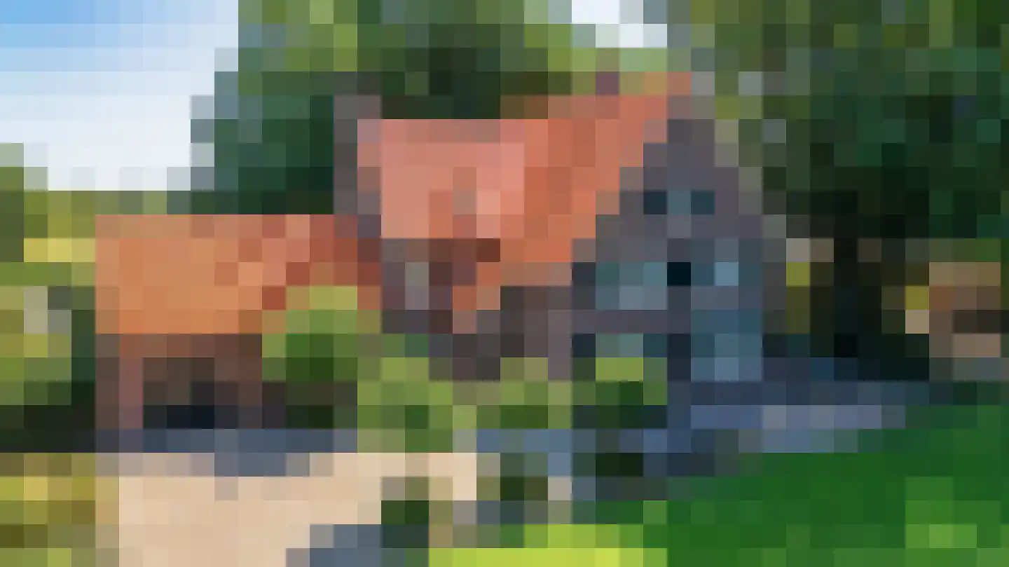 Bredaseweg 32 Zundert thumbnail 94