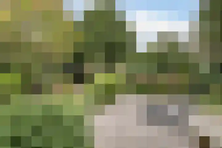 Bredaseweg 323 b Tilburg thumbnail 26