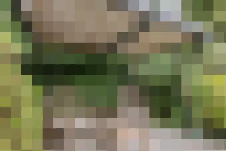 Bredaseweg 323 b Tilburg thumbnail 27