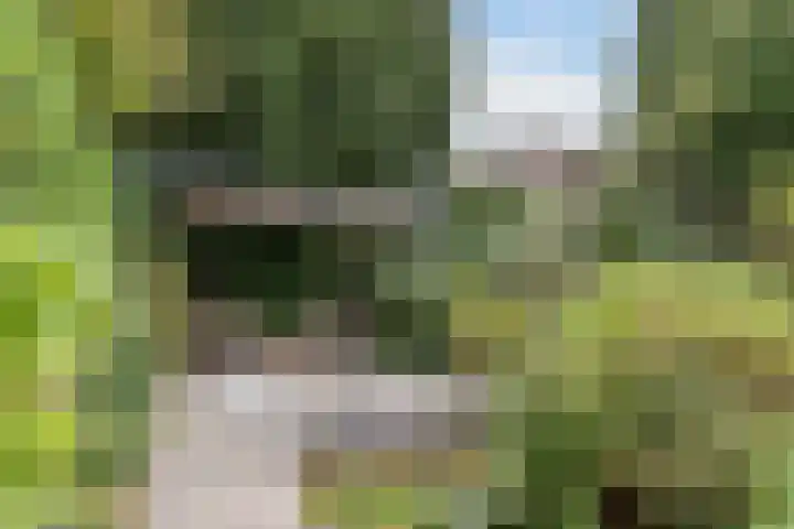 Bredaseweg 323 b Tilburg thumbnail 29