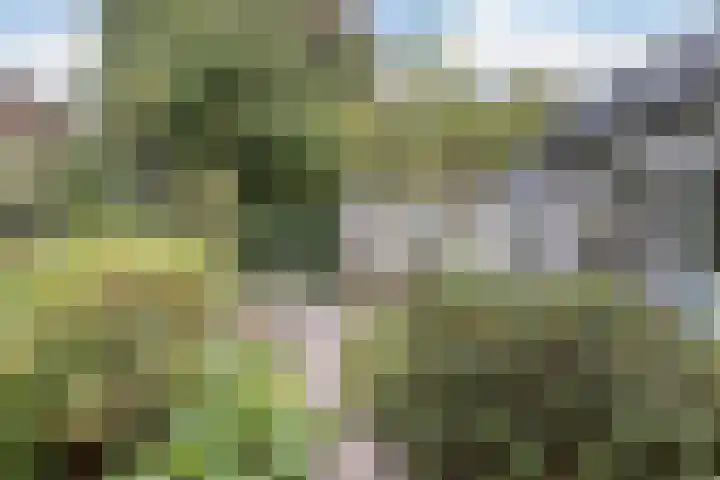 Bredaseweg 323 b Tilburg thumbnail 30