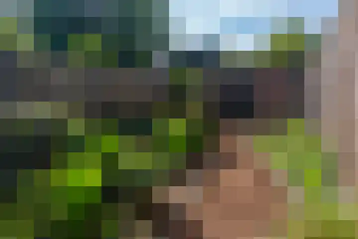 Bredaseweg 326 Tilburg thumbnail 34