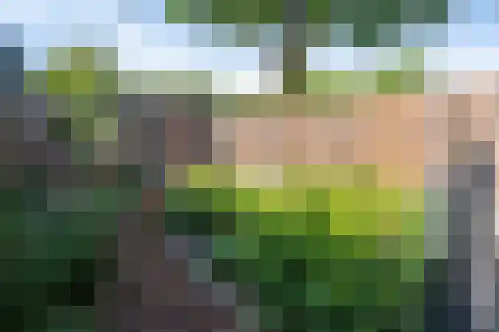 Bredaseweg 326 Tilburg thumbnail 35