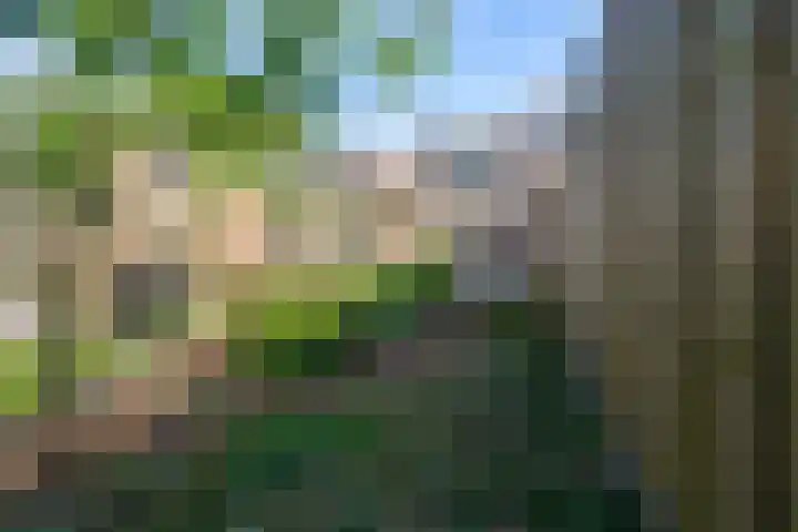 Bredaseweg 326 Tilburg thumbnail 37