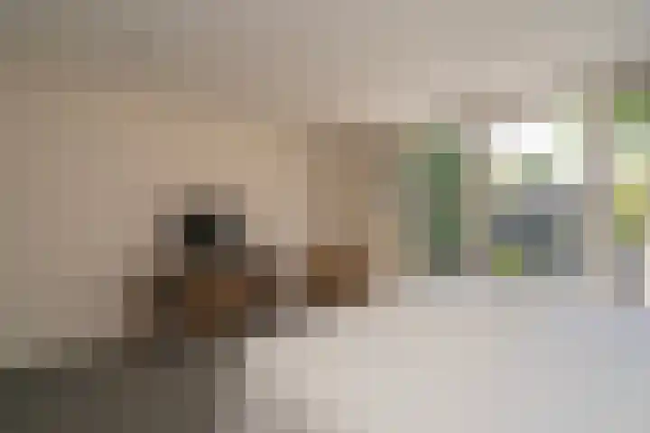 Bredaseweg 326 Tilburg thumbnail 48